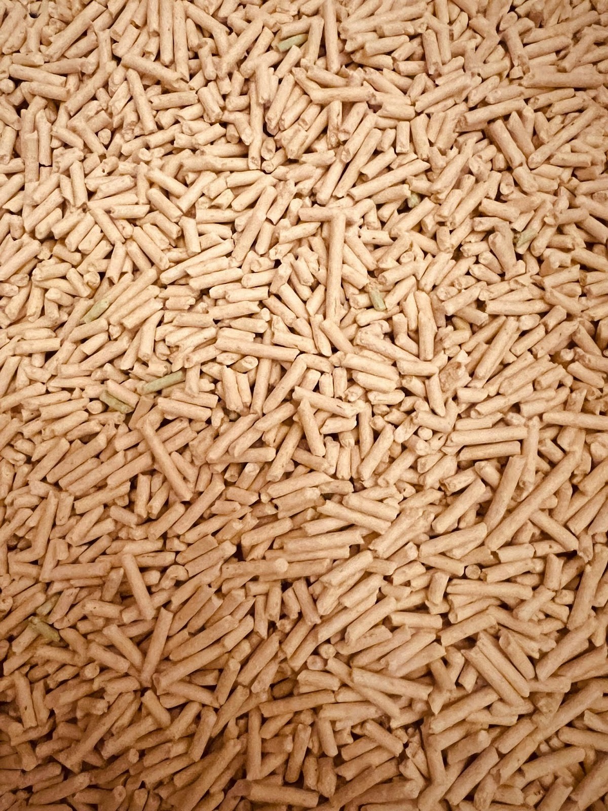 Finished biomass pellets