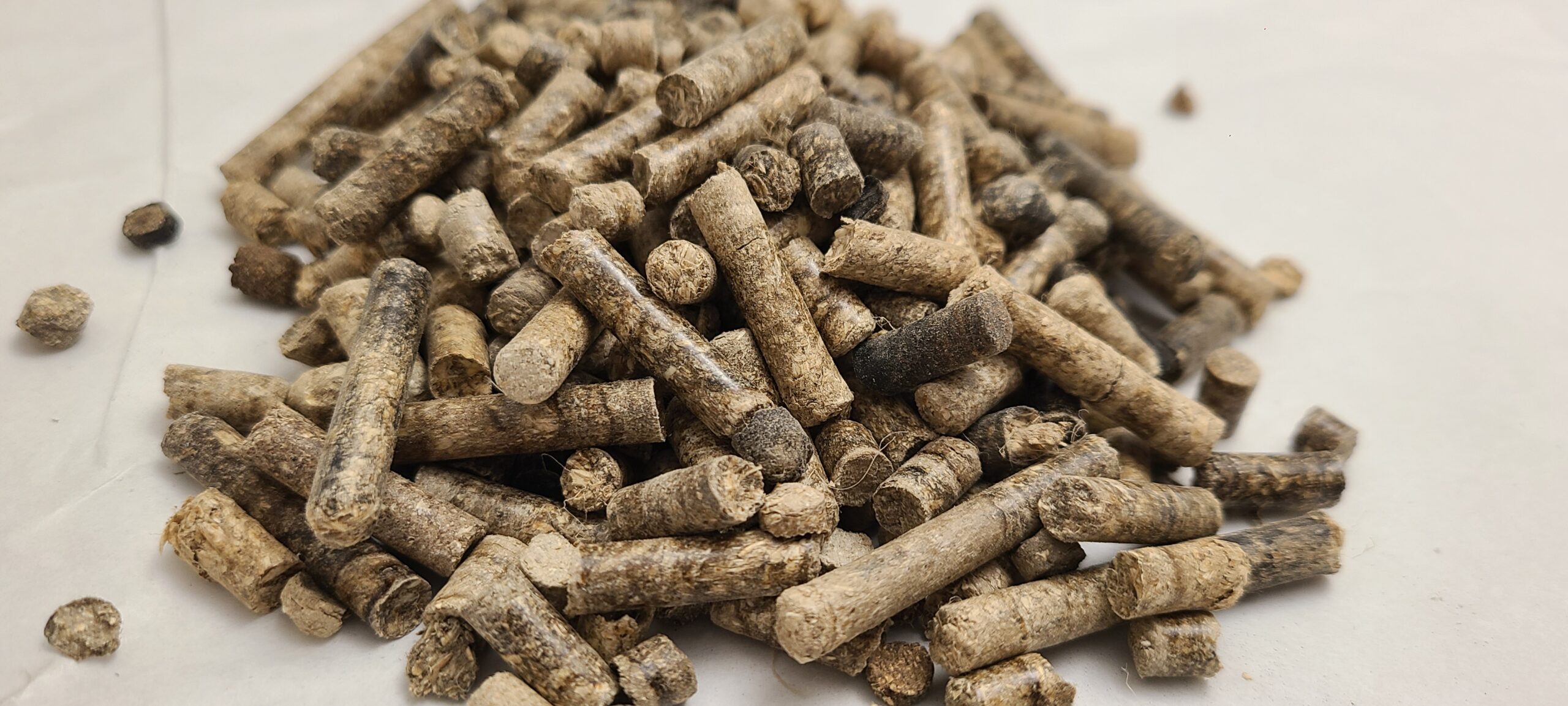 biomass pellets