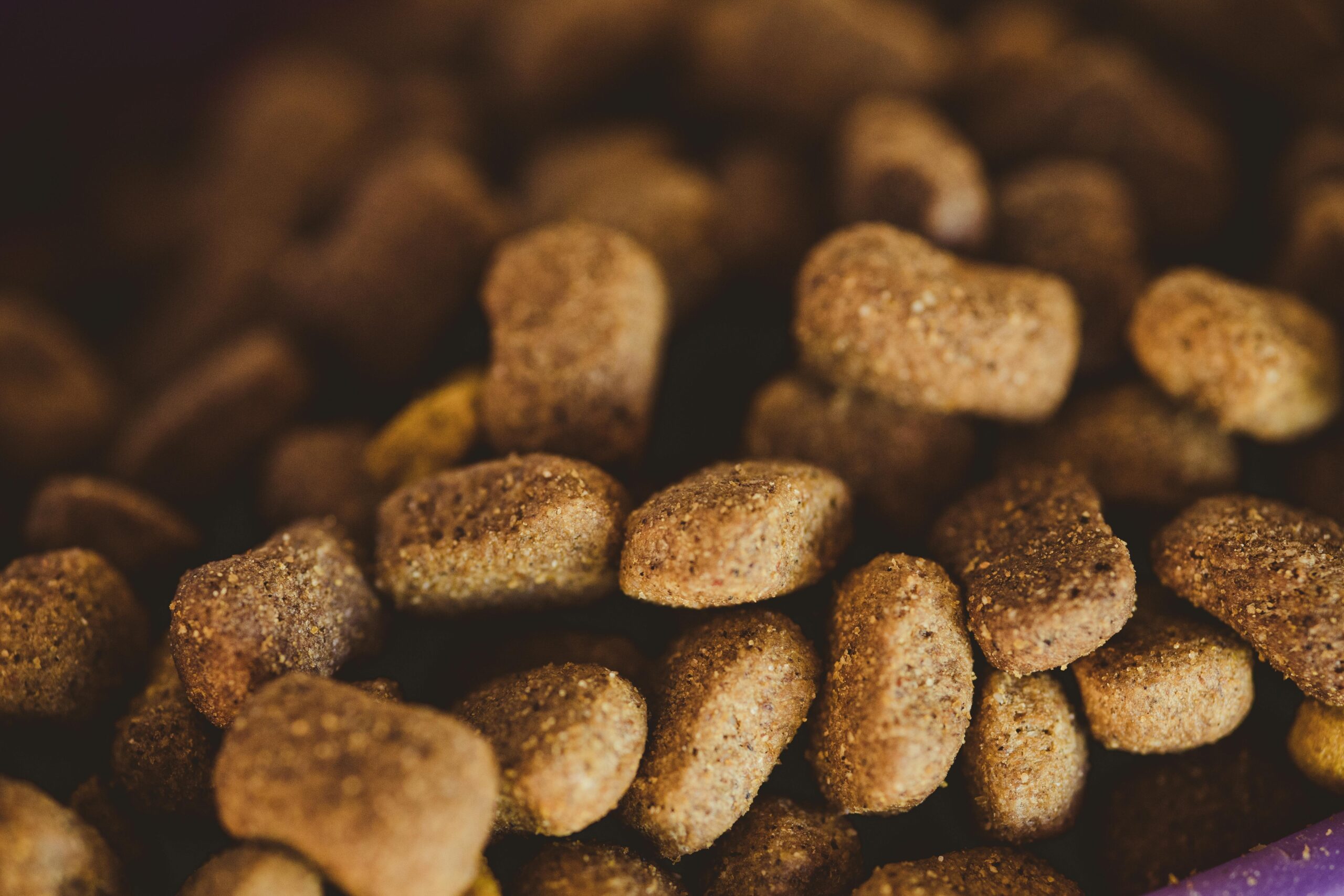 close up of pet food
