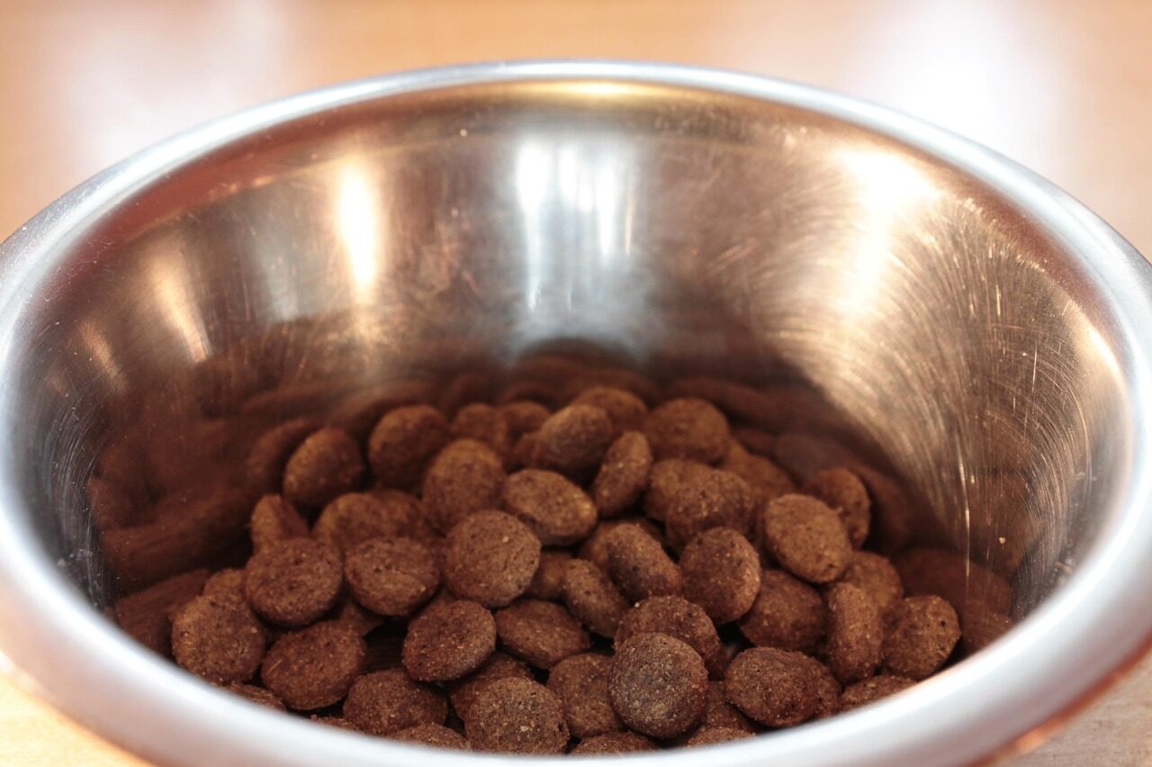 food bowl, fressnapf, dog food, dried animal food, metal bowl, pet food, dog food, dog food, dog food, dog food, dog food